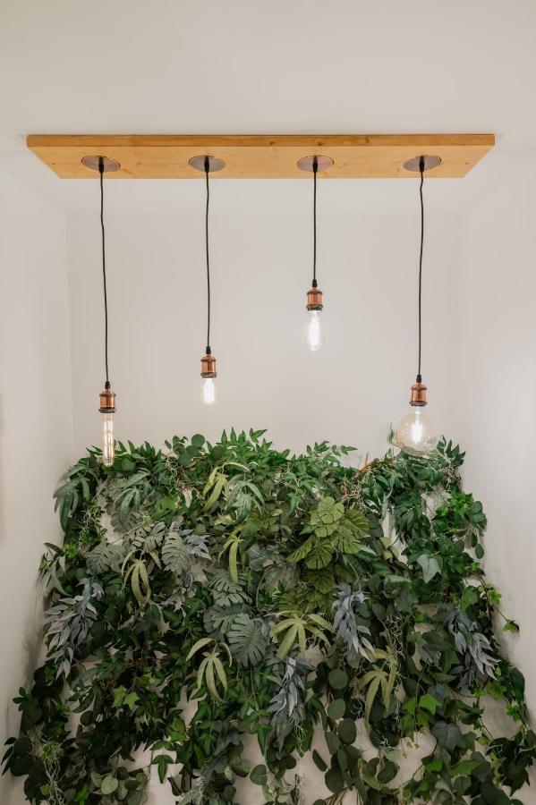 Cozee Studio - In Inima Brasovului Exteriér fotografie
