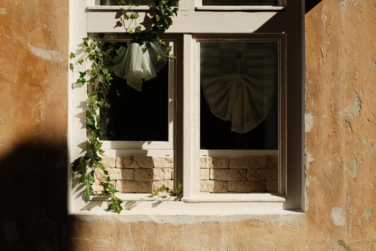 Cozee Studio - In Inima Brasovului Exteriér fotografie