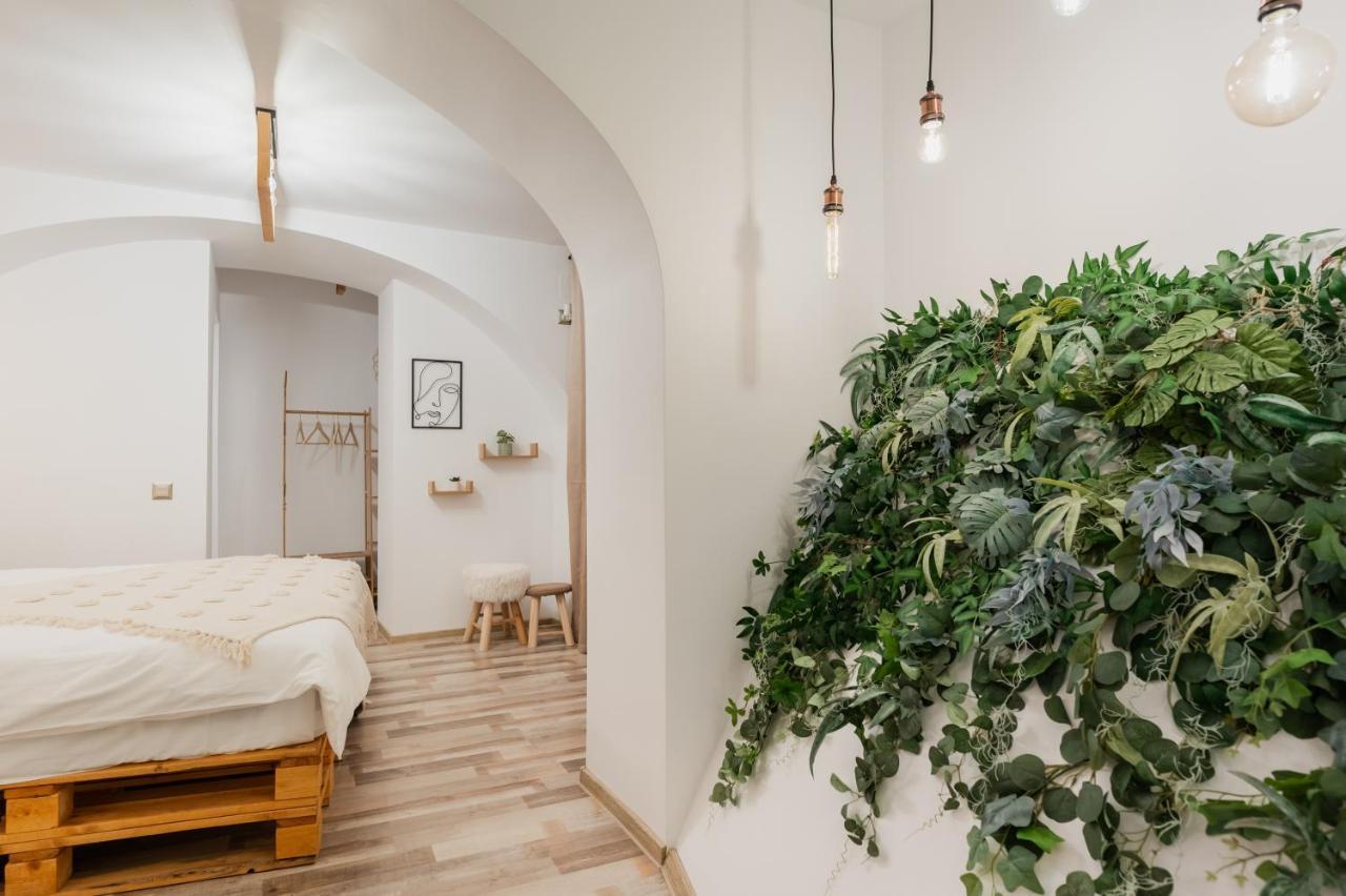 Cozee Studio - In Inima Brasovului Exteriér fotografie
