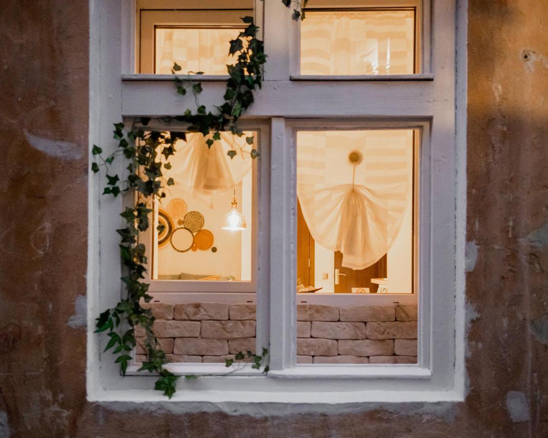 Cozee Studio - In Inima Brasovului Exteriér fotografie