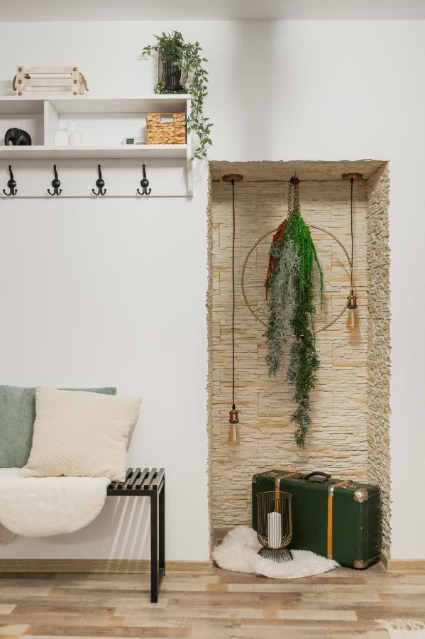 Cozee Studio - In Inima Brasovului Exteriér fotografie