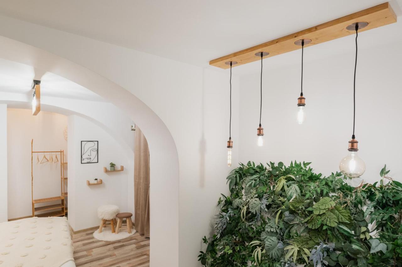 Cozee Studio - In Inima Brasovului Exteriér fotografie